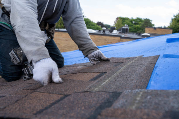 Quick and Trustworthy Emergency Roof Repair Services in Painesville, OH