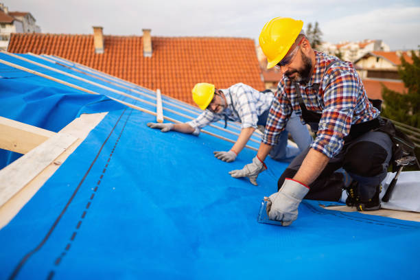 Best Storm Damage Roof Repair  in Painesville, OH